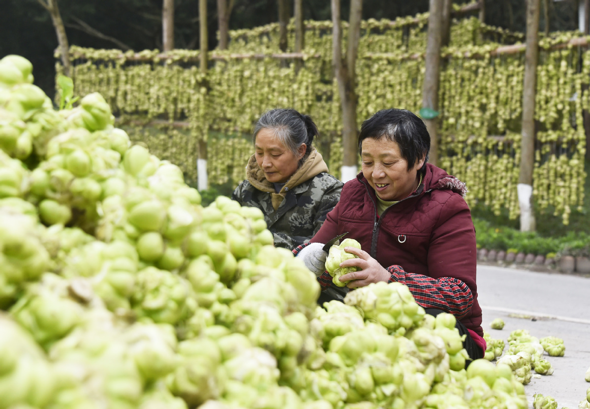 智能化生產(chǎn)強力支撐 “國民下飯菜”產(chǎn)能提高近10倍3.jpg