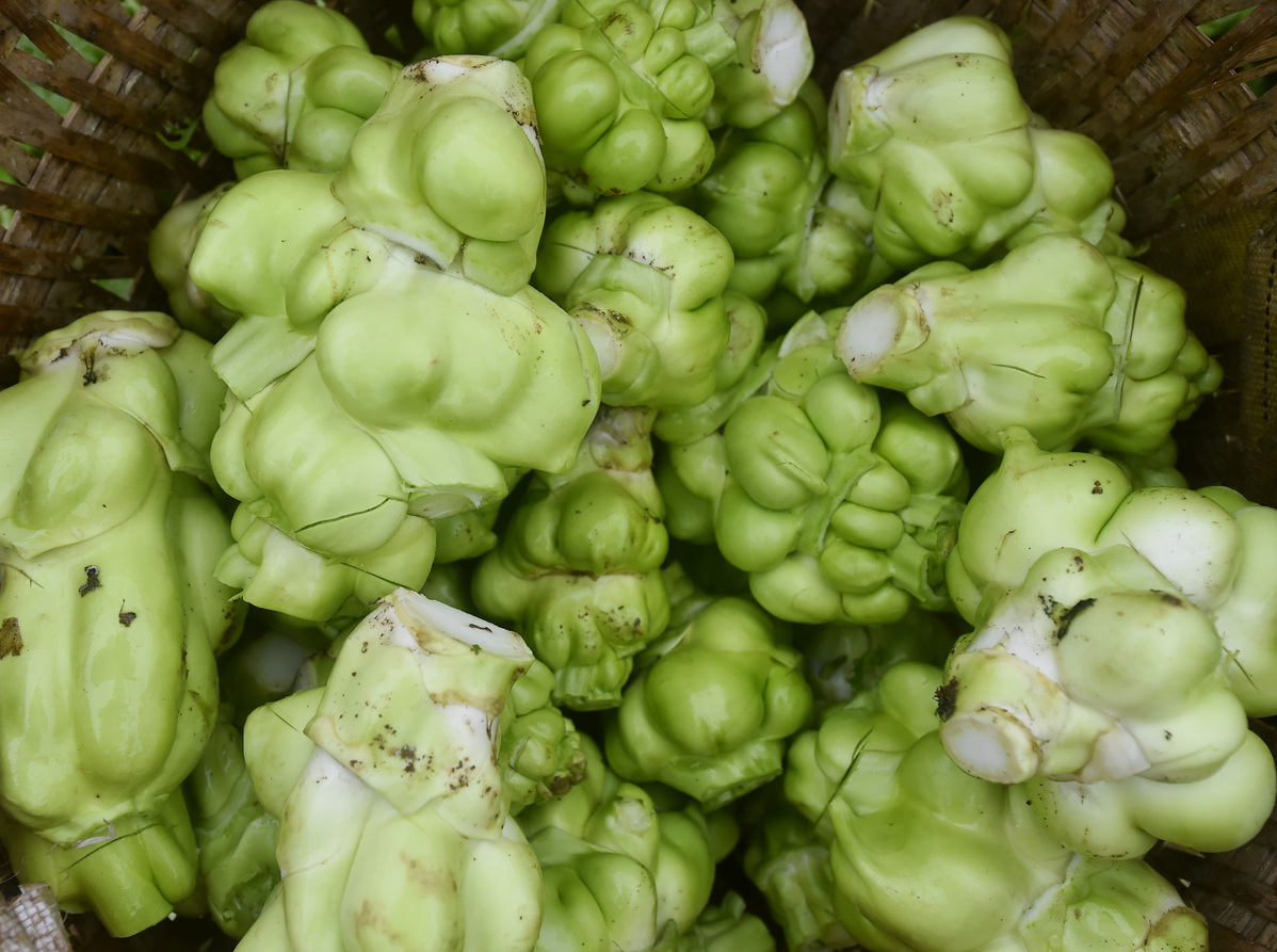 智能化生產(chǎn)強力支撐 “國民下飯菜”產(chǎn)能提高近10倍4.jpg