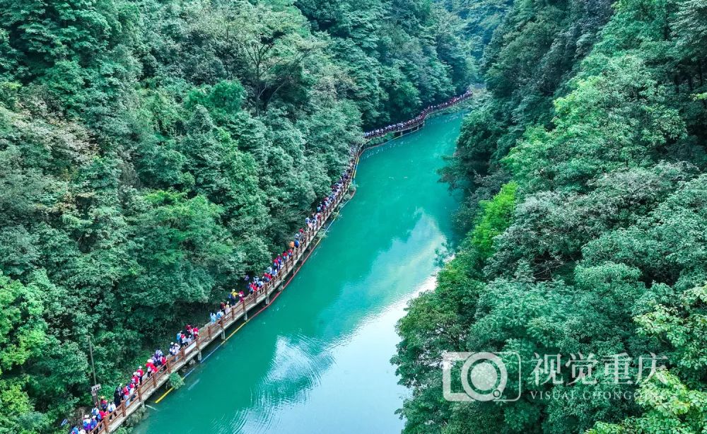 “重慶農(nóng)商行杯”2023年重慶市龍舟邀請賽在涪陵烏江流域舉行12.jpg