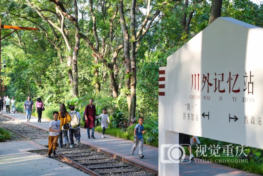 “重慶農(nóng)商行杯”2023年重慶市龍舟邀請賽在涪陵烏江流域舉行14.jpg