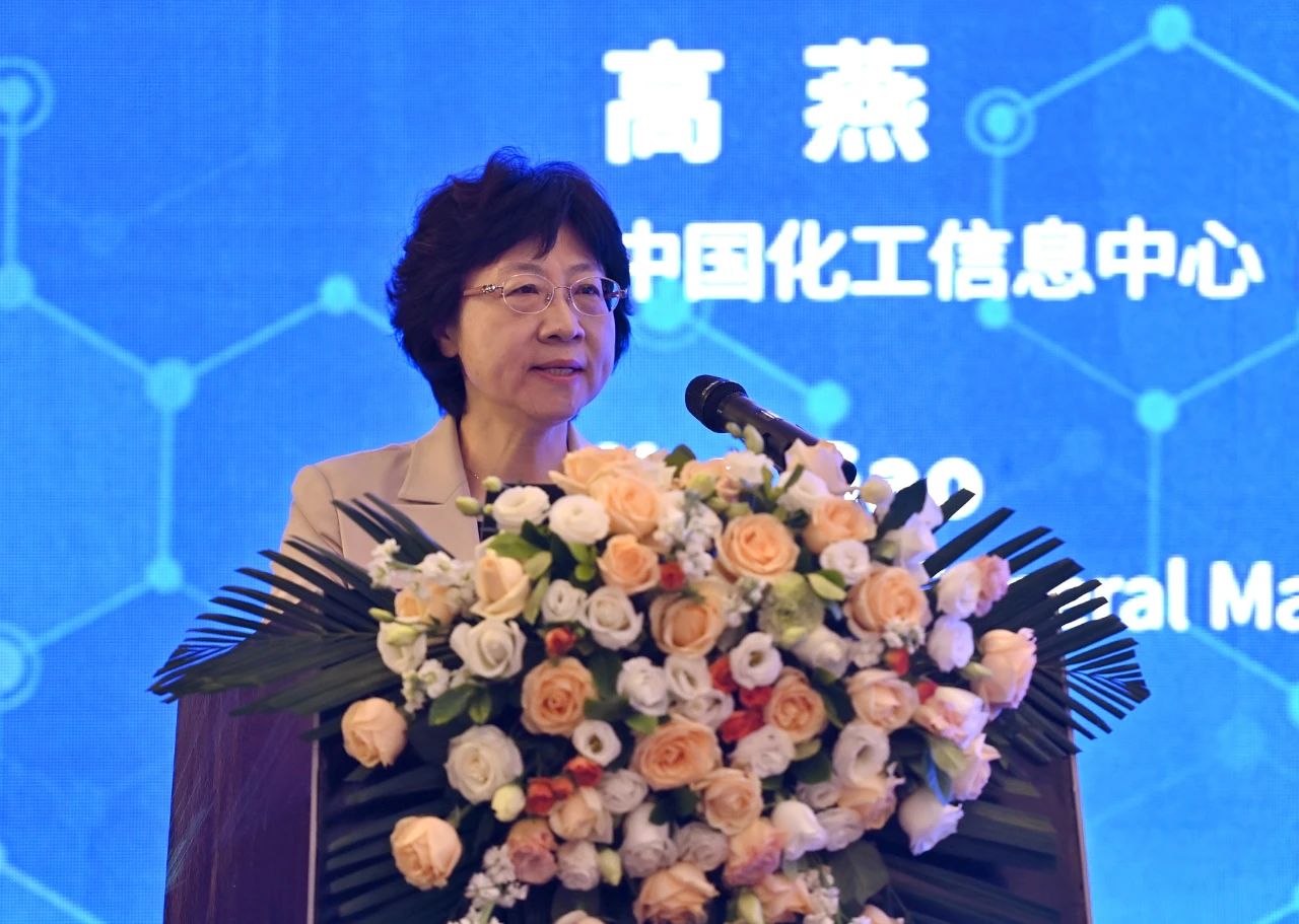 中國(guó)化工信息中心副總經(jīng)理高燕致辭.jpg