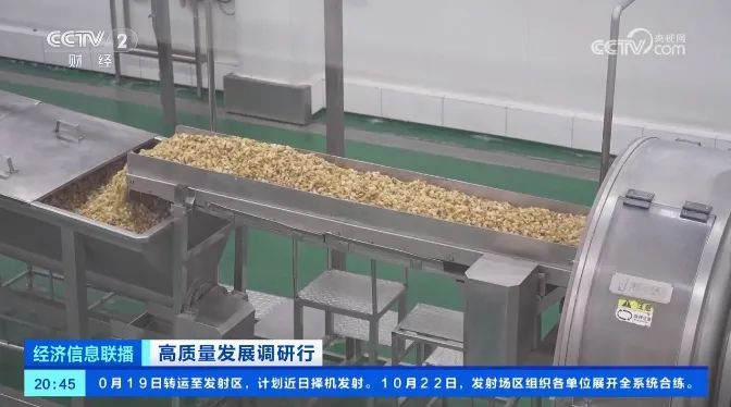 重慶涪陵：“國(guó)民下飯菜”育種技術(shù)升級(jí)2.jpg