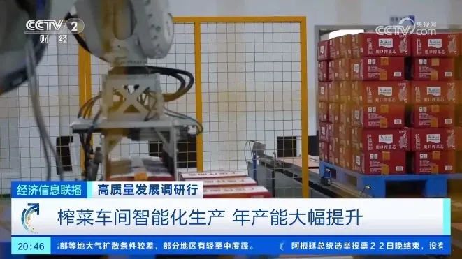 重慶涪陵：“國(guó)民下飯菜”育種技術(shù)升級(jí)4.jpg