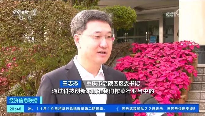 重慶涪陵：“國(guó)民下飯菜”育種技術(shù)升級(jí)5.jpg